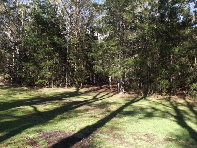 22 Gray Road, St Marys TAS 7215