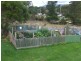 Lot 5 Lennox Street, Cornwall TAS 7215