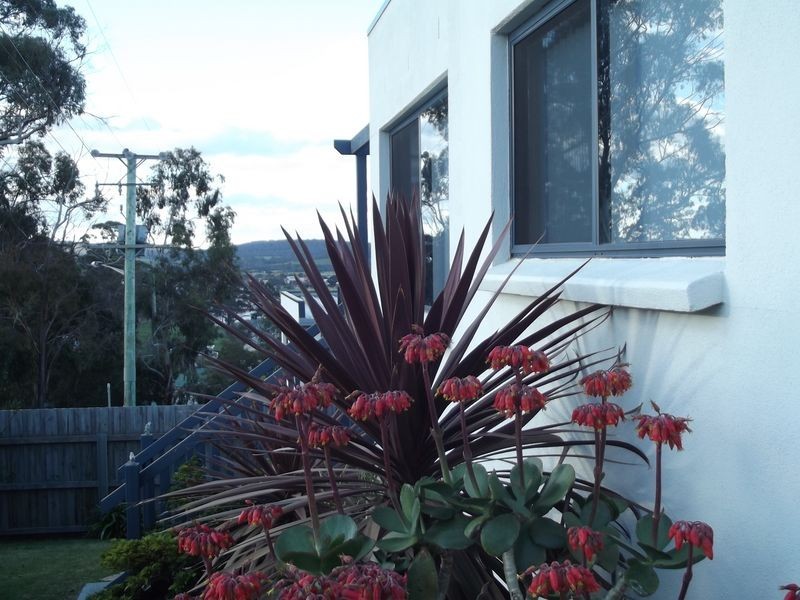 Unit 2/2 Mimosa Street, St Helens TAS 7216