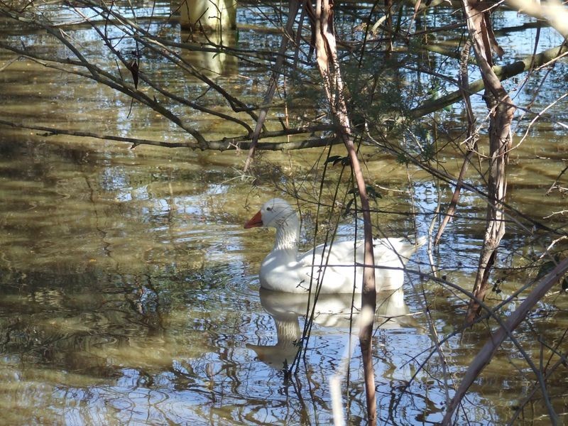 22 Ansons Bay Road, St Helens TAS 7216