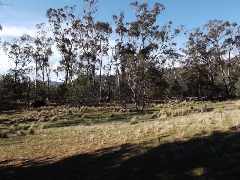 Lot 1 Albert Street, Fingal TAS 7214