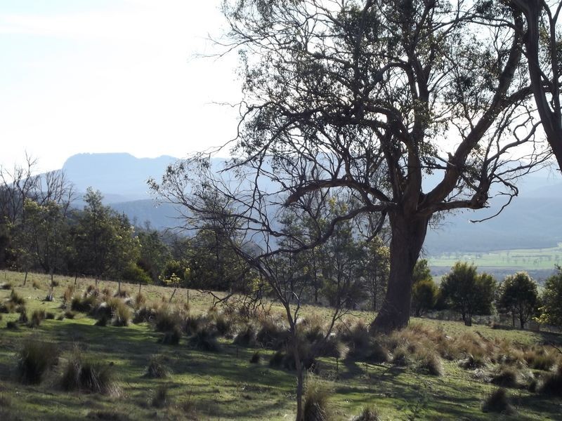 Lot 1 Albert Street, Fingal TAS 7214