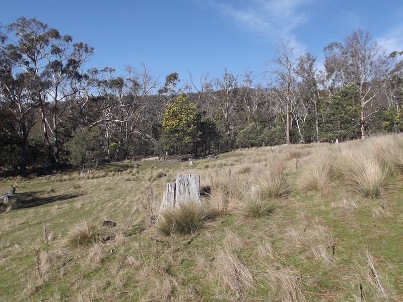 Lot 1 Albert Street, Fingal TAS 7214