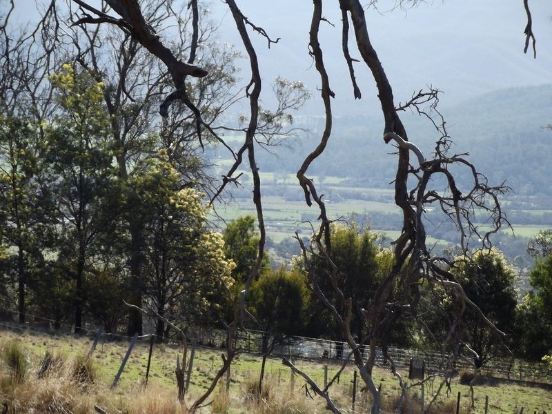 Lot 1 Albert Street, Fingal TAS 7214