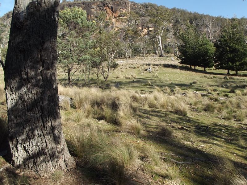 Lot 1 Albert Street, Fingal TAS 7214