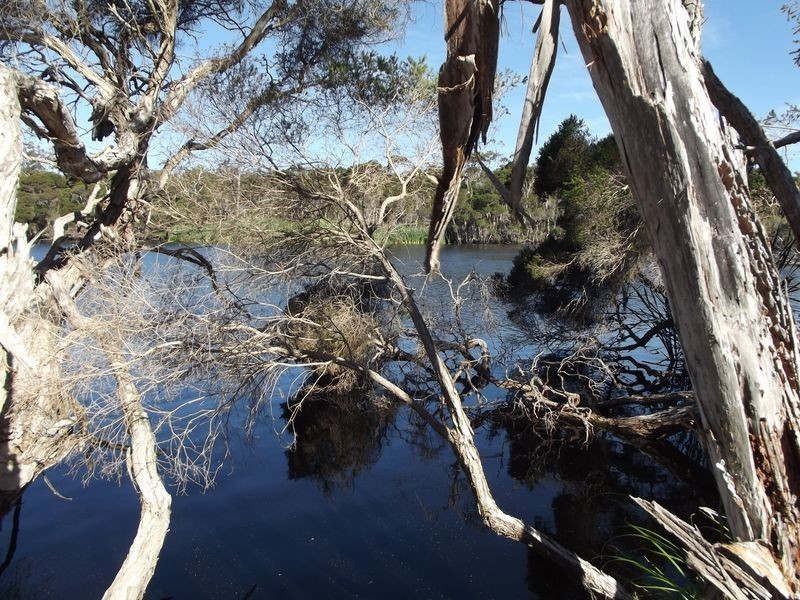 1 Chimneys Lagoon, St Helens TAS 7216
