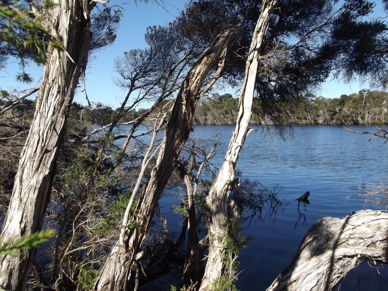 1 Chimneys Lagoon, St Helens TAS 7216