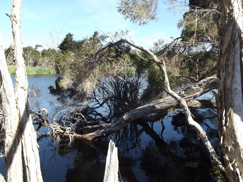 1 Chimneys Lagoon, St Helens TAS 7216