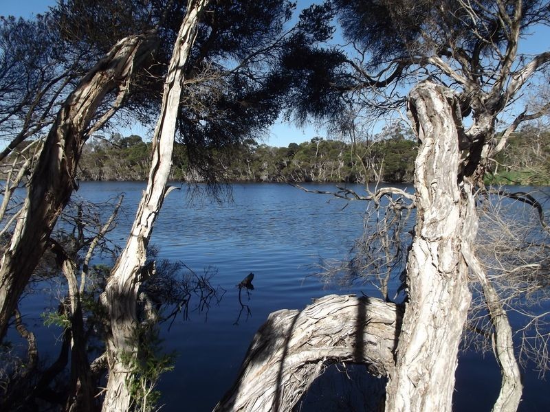 1 Chimneys Lagoon, St Helens TAS 7216