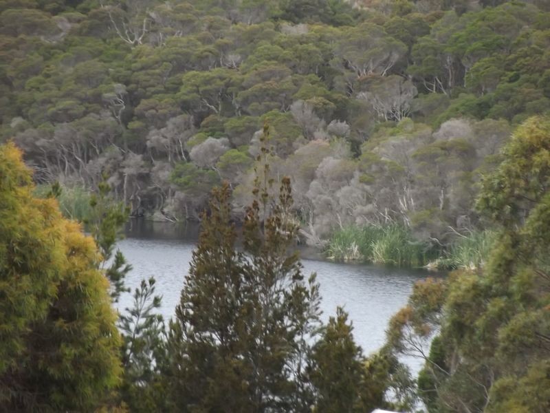 171 St Helens Point Road, Stieglitz TAS 7216