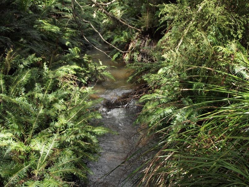 237 Elephant Pass Road, St Marys TAS 7215