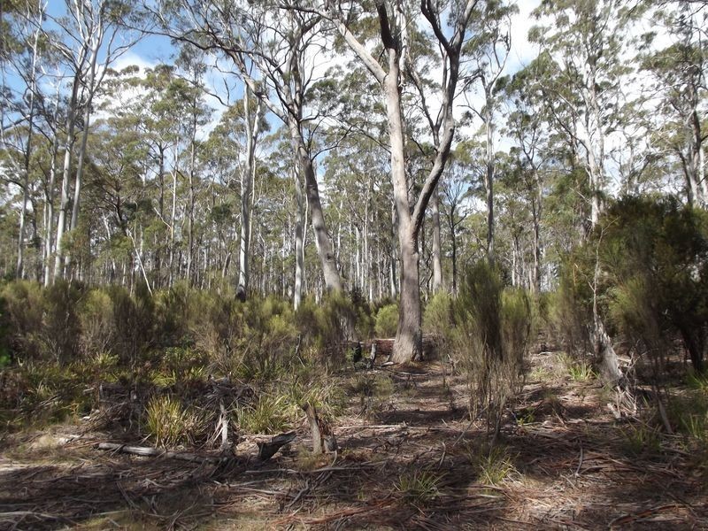 237 Elephant Pass Road, St Marys TAS 7215