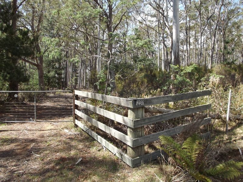 237 Elephant Pass Road, St Marys TAS 7215