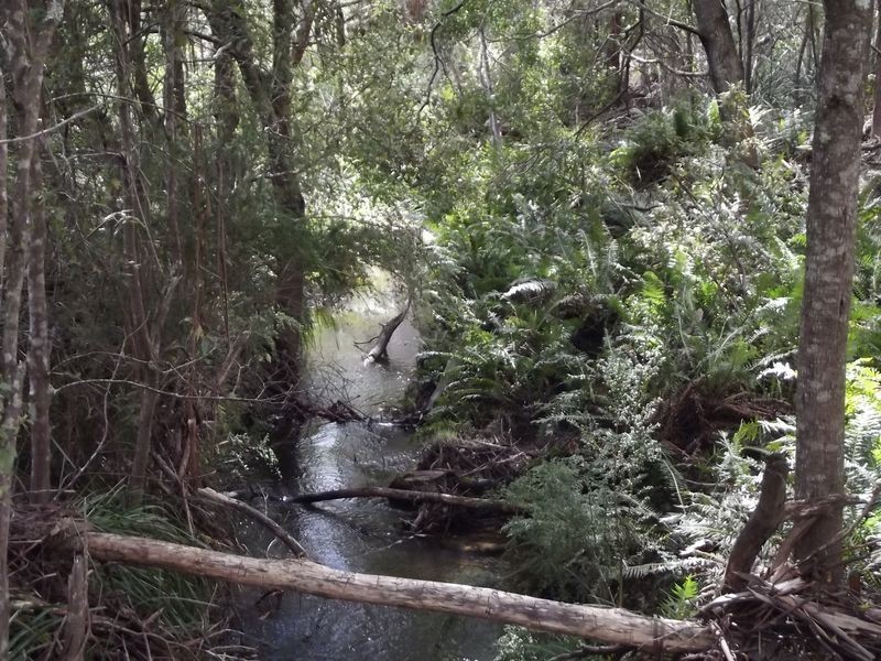 237 Elephant Pass Road, St Marys TAS 7215