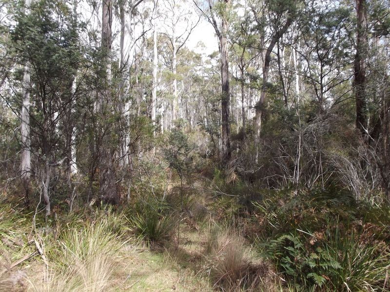 237 Elephant Pass Road, St Marys TAS 7215