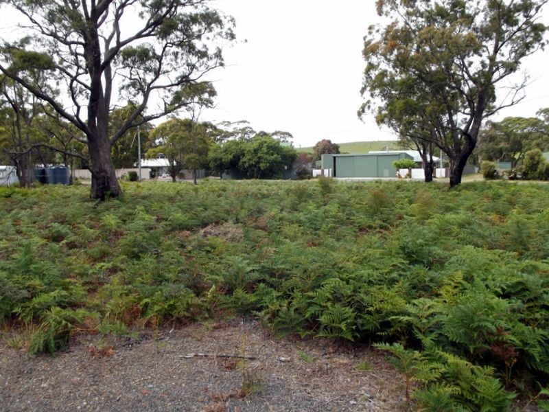 135 Acacia Drive, Ansons Bay TAS 7216