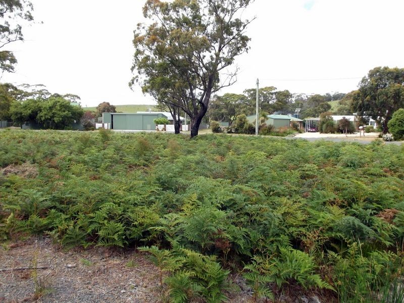 135 Acacia Drive, Ansons Bay TAS 7216