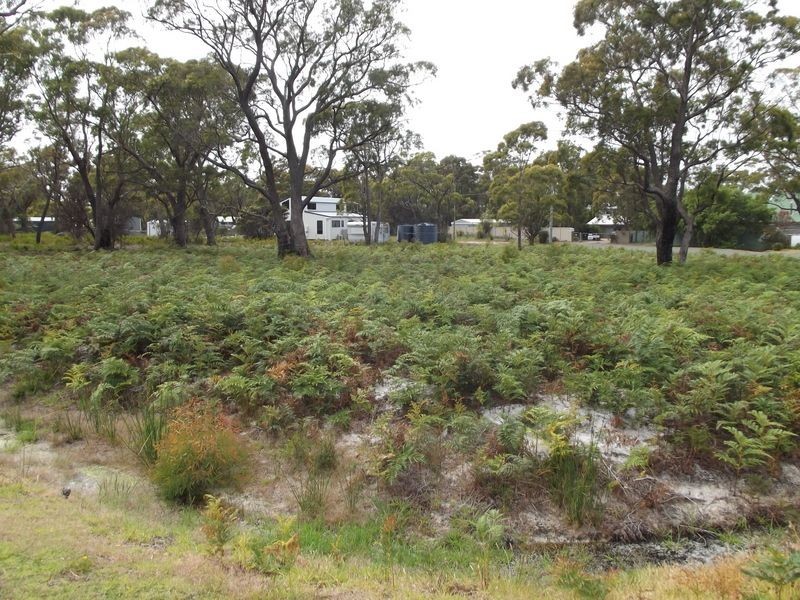 135 Acacia Drive, Ansons Bay TAS 7216