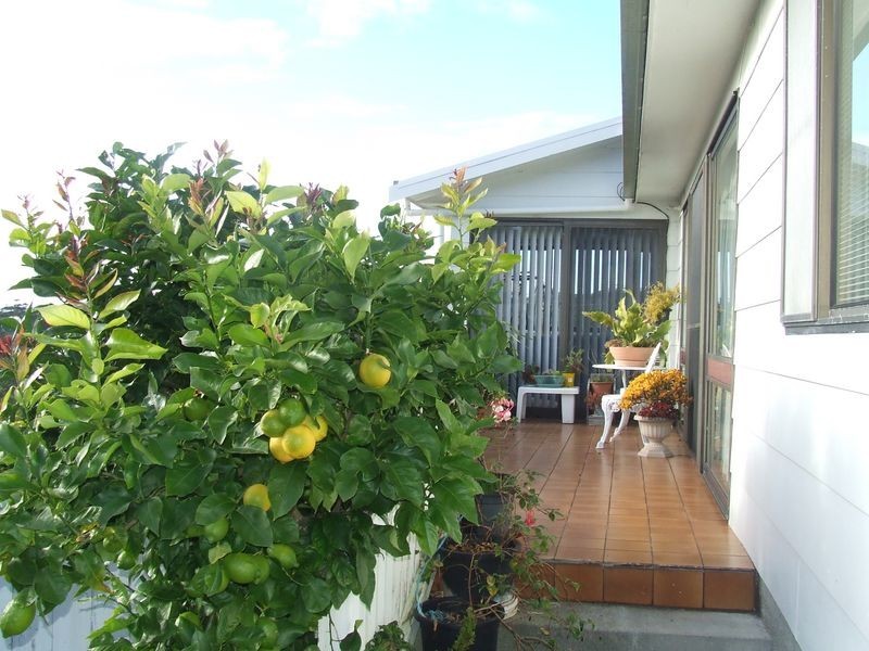 24 Felmingham Street, Binalong Bay TAS 7216