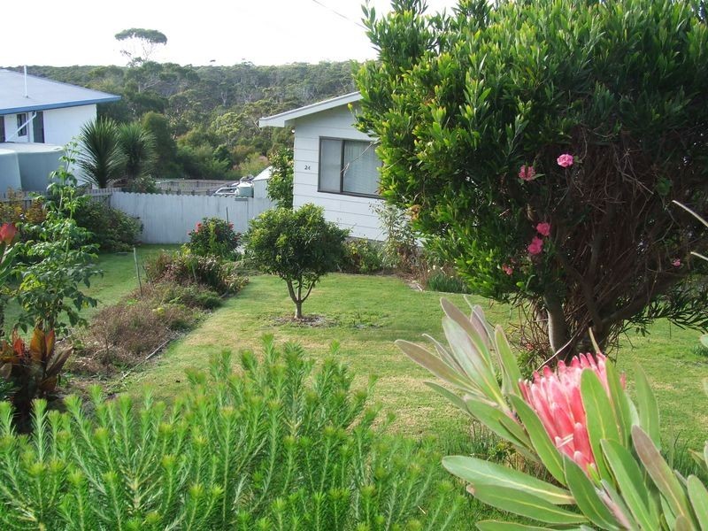 24 Felmingham Street, Binalong Bay TAS 7216
