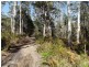 PID 764177 Woodsong Terryvale Road, Goshen TAS 7216