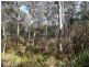 PID 764177 Woodsong Terryvale Road, Goshen TAS 7216
