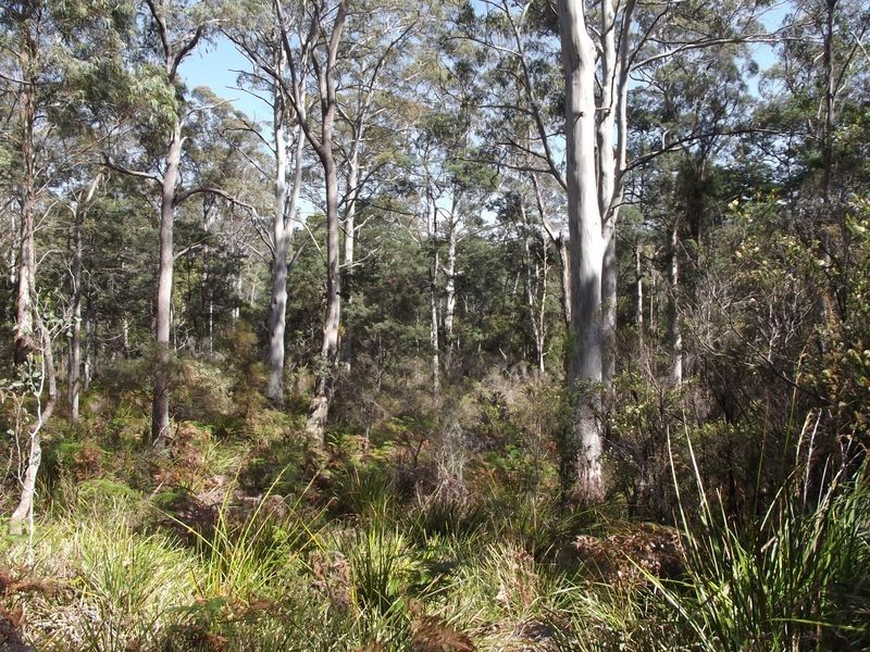 PID 764177 Woodsong Terryvale Road, Goshen TAS 7216