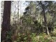 PID 764177 Woodsong Terryvale Road, Goshen TAS 7216
