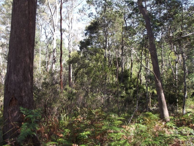 PID 764177 Woodsong Terryvale Road, Goshen TAS 7216