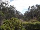 9 Falmouth Street, St Helens TAS 7216