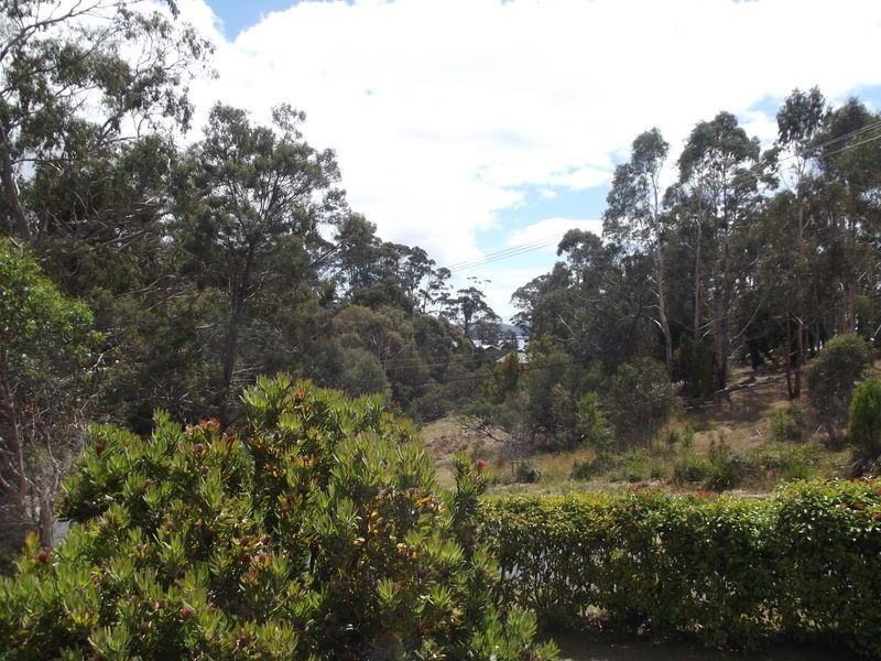 9 Falmouth Street, St Helens TAS 7216