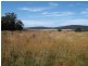 25496 Tasman Highway, St Helens TAS 7216