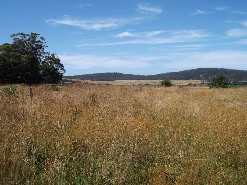 25496 Tasman Highway, St Helens TAS 7216