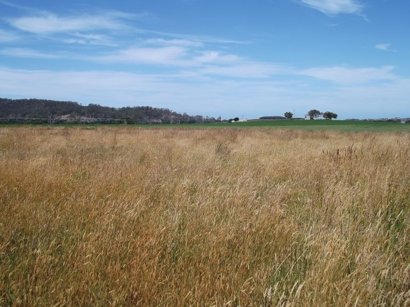 25496 Tasman Highway, St Helens TAS 7216