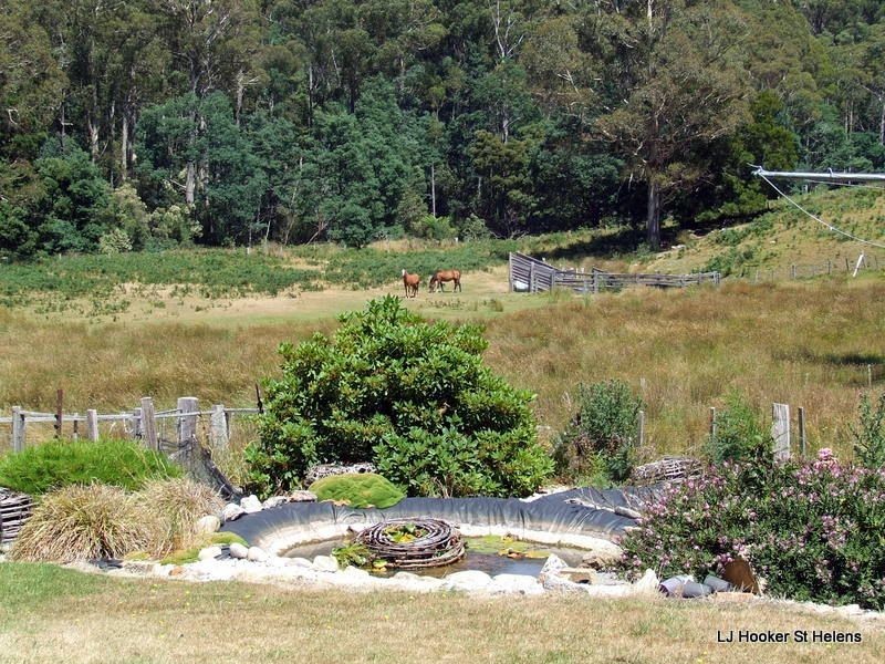 27261 Tasman Highway, Goulds Country TAS 7216