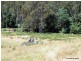 27261 Tasman Highway, Goulds Country TAS 7216