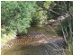 27261 Tasman Highway, Goulds Country TAS 7216