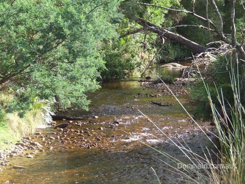 27261 Tasman Highway, Goulds Country TAS 7216
