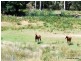 27261 Tasman Highway, Goulds Country TAS 7216