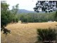 24 Fitzgeralds Road, Goulds Country TAS 7216