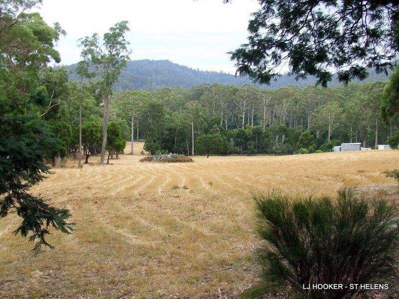24 Fitzgeralds Road, Goulds Country TAS 7216
