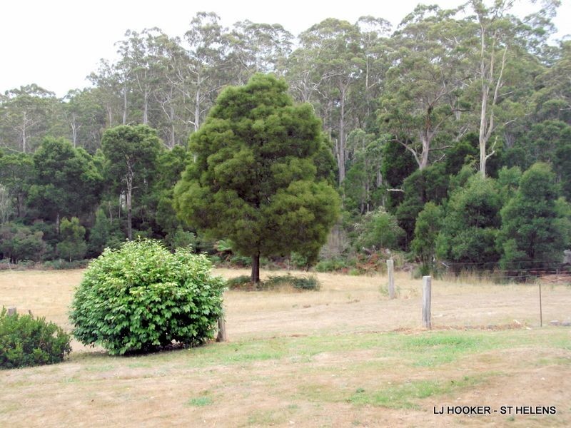 24 Fitzgeralds Road, Goulds Country TAS 7216