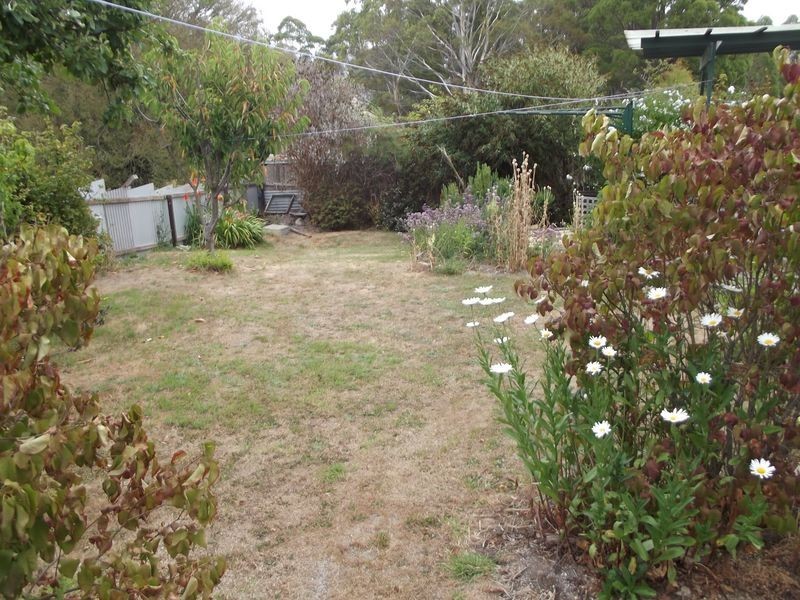 178 Cornwall Road, Cornwall TAS 7215