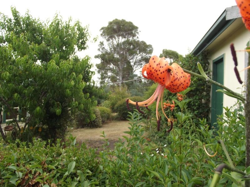 178 Cornwall Road, Cornwall TAS 7215
