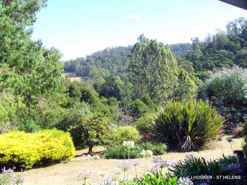 27749 Tasman Highway, Pyengana TAS 7216