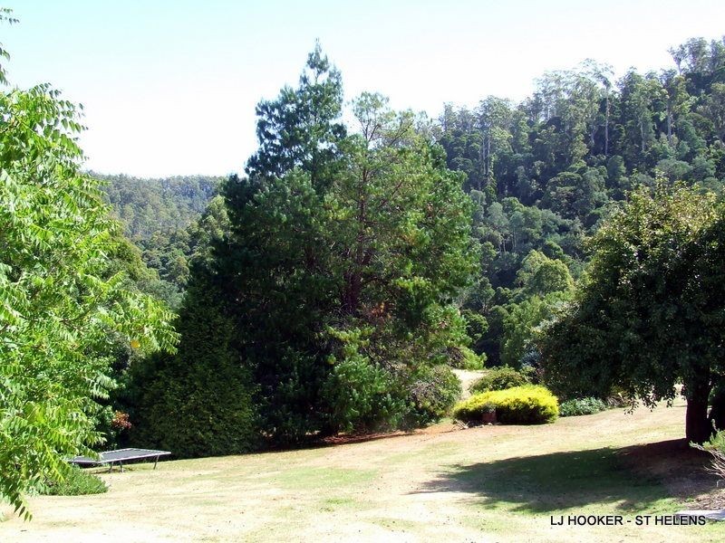 27749 Tasman Highway, Pyengana TAS 7216