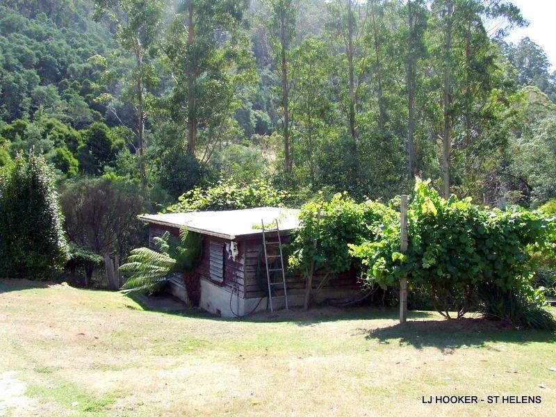 27749 Tasman Highway, Pyengana TAS 7216