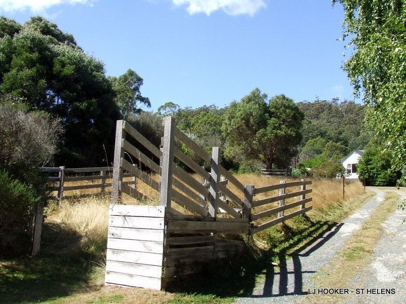 27749 Tasman Highway, Pyengana TAS 7216