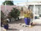 78 St Helens Point Road, Stieglitz TAS 7216