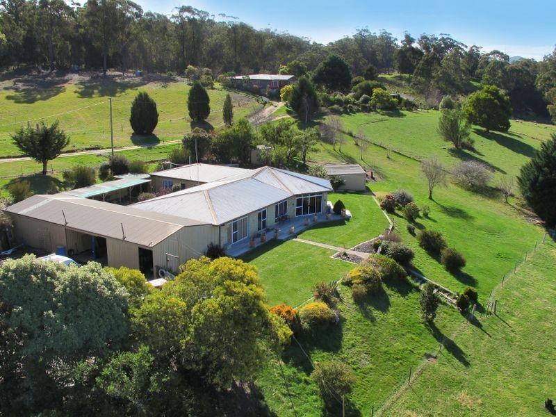 25594 Tasman Highway, St Helens TAS 7216